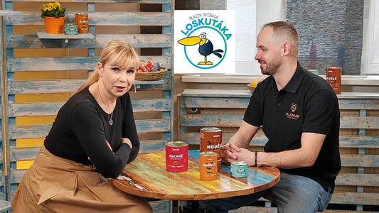 Rady a tipy od Louieho aneb Pták Loskuták je zase o něco chytřejší