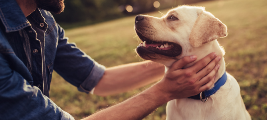 LOUIE extra tip: Staň se akcionářem a získej 50% slevu