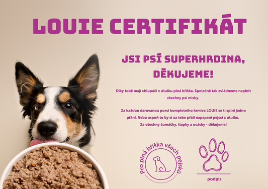Dárkový certifikát LOUIE