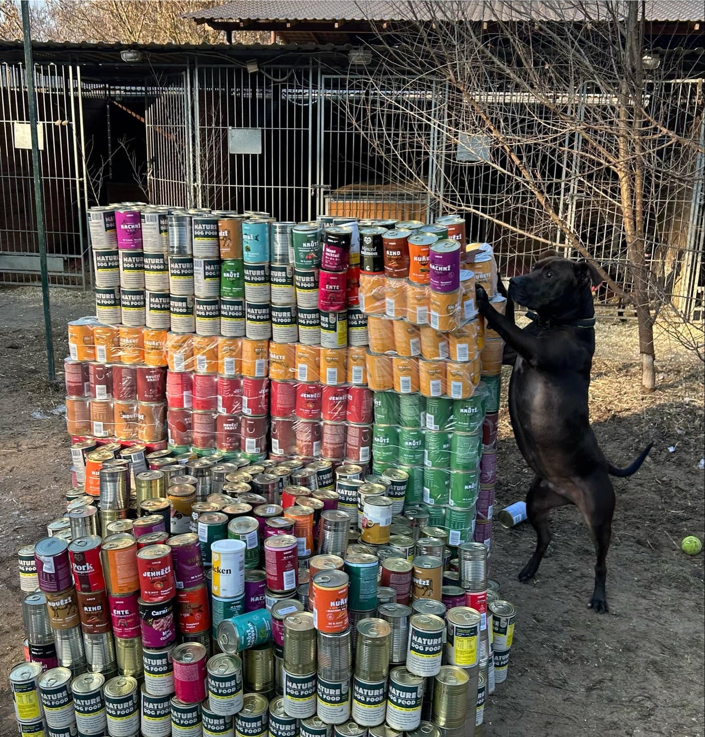 Dose für das Tierheim 8x, 400 g – LOUIE hilft Tierheimen