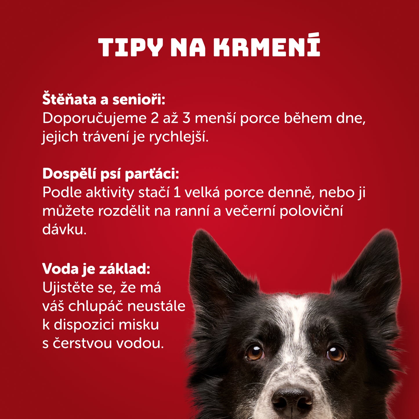 Vepřové se špenátem a prebiotiky 400g