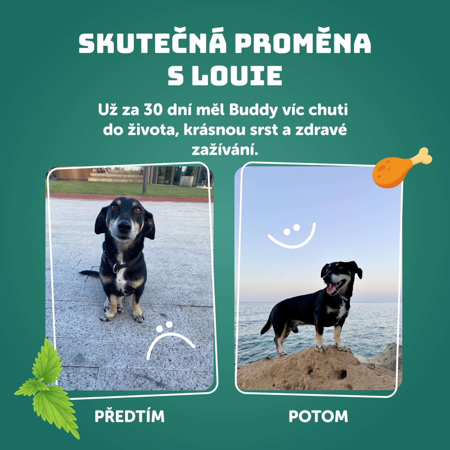 Krůtí s lososem a kopřivou 1200g