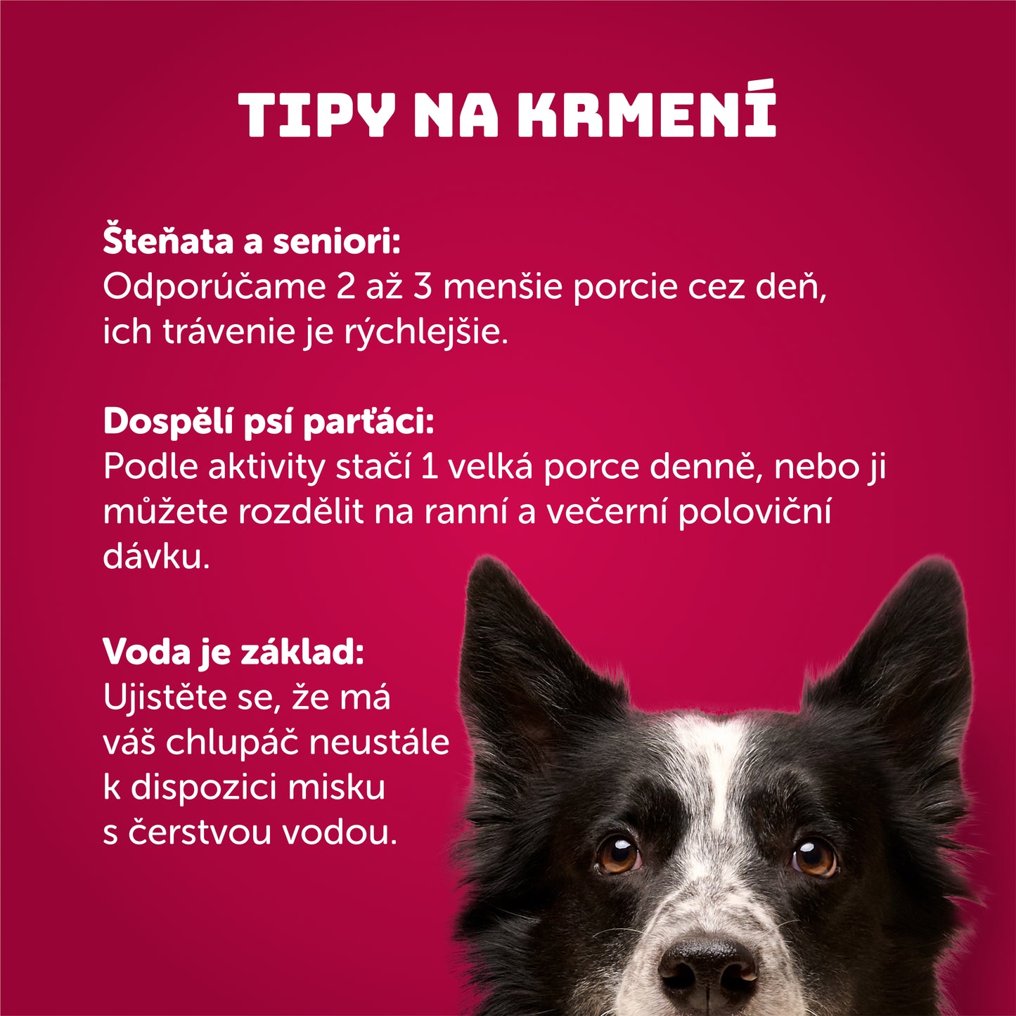 Kachní kapsička s brusinkami 300g