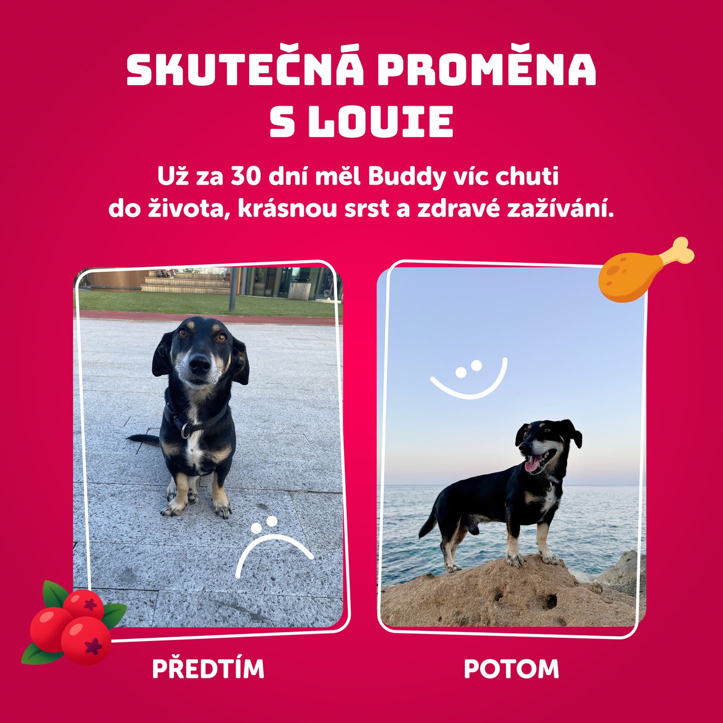 Kachní kapsička s brusinkami 300g