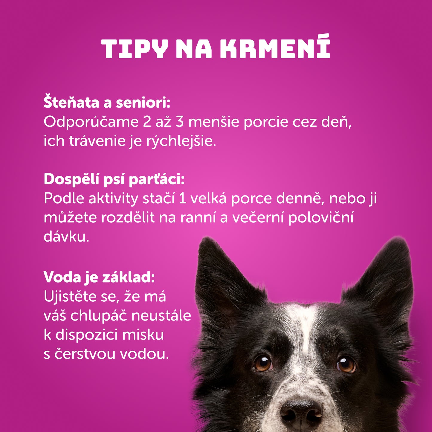 Ochutnávkový balíček 40 ks - 200g