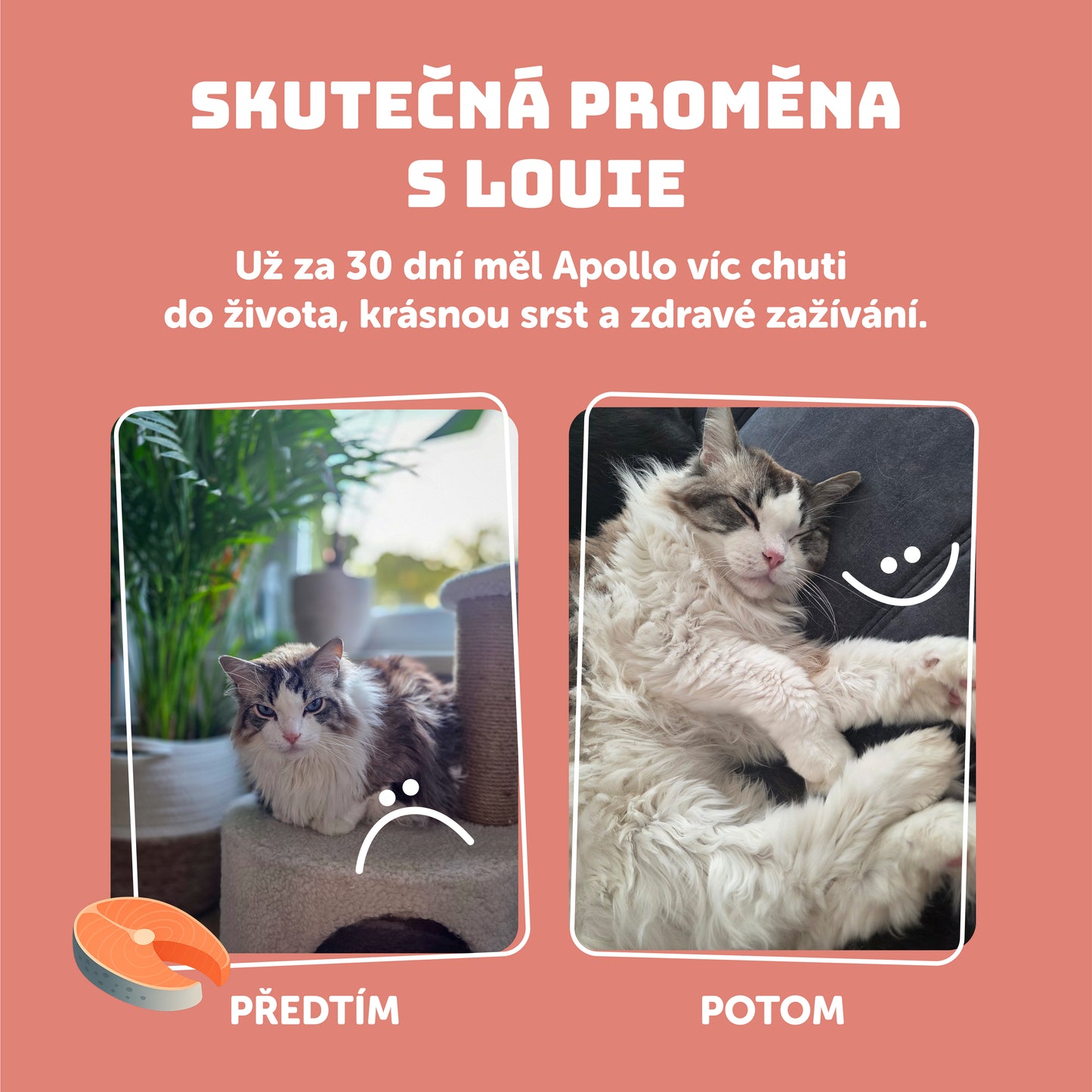 Výhodné balení 8 ks - Losos s prebiotiky 200g