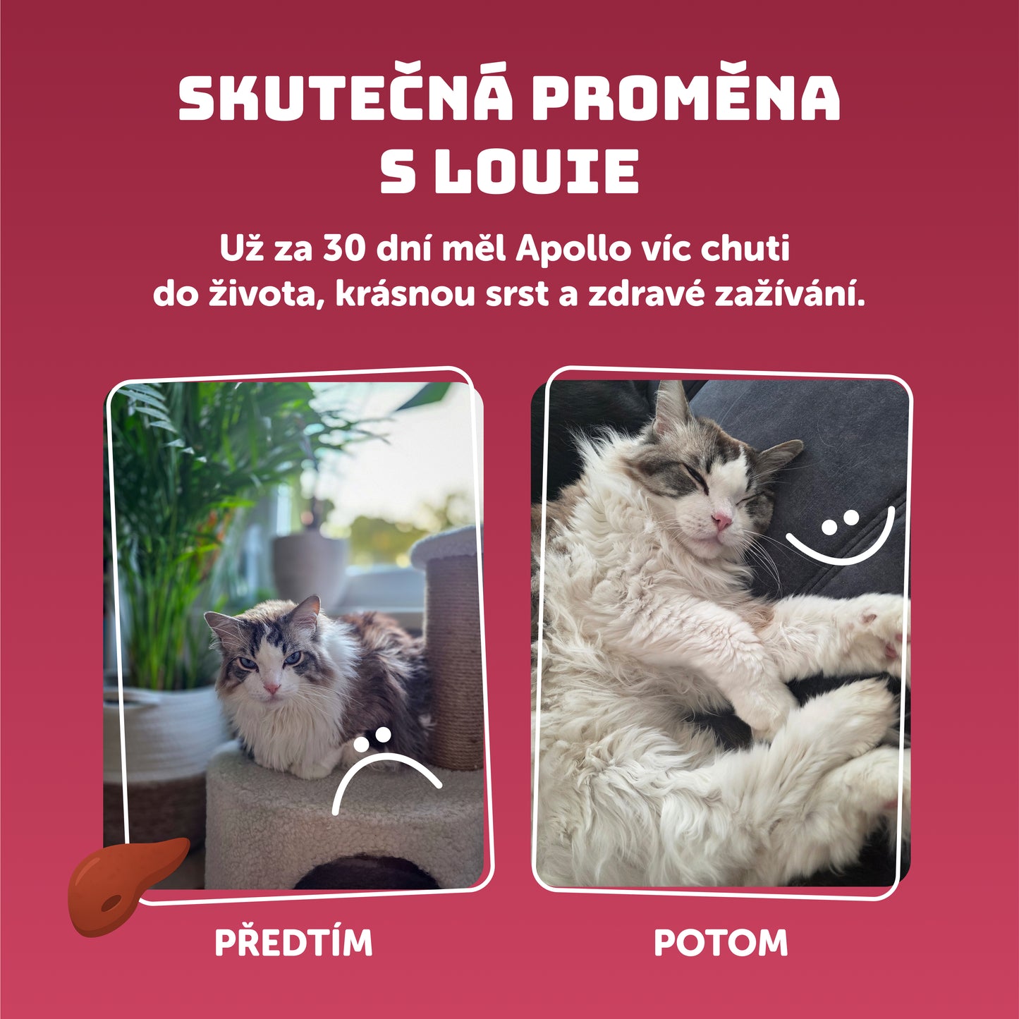 Výhodné balení 8 ks - Játrovka s prebiotiky 400g