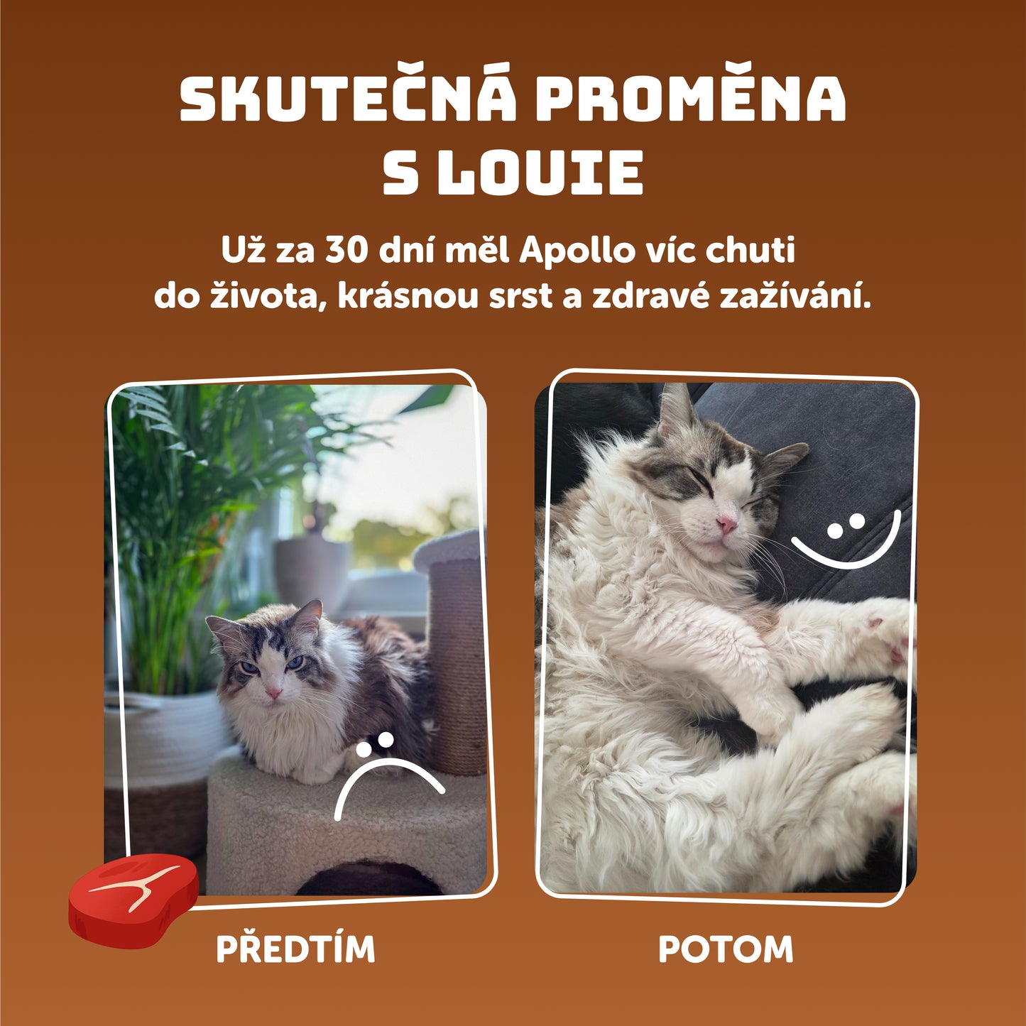 Výhodné balení 8 ks - Hovězí s prebiotiky 400g