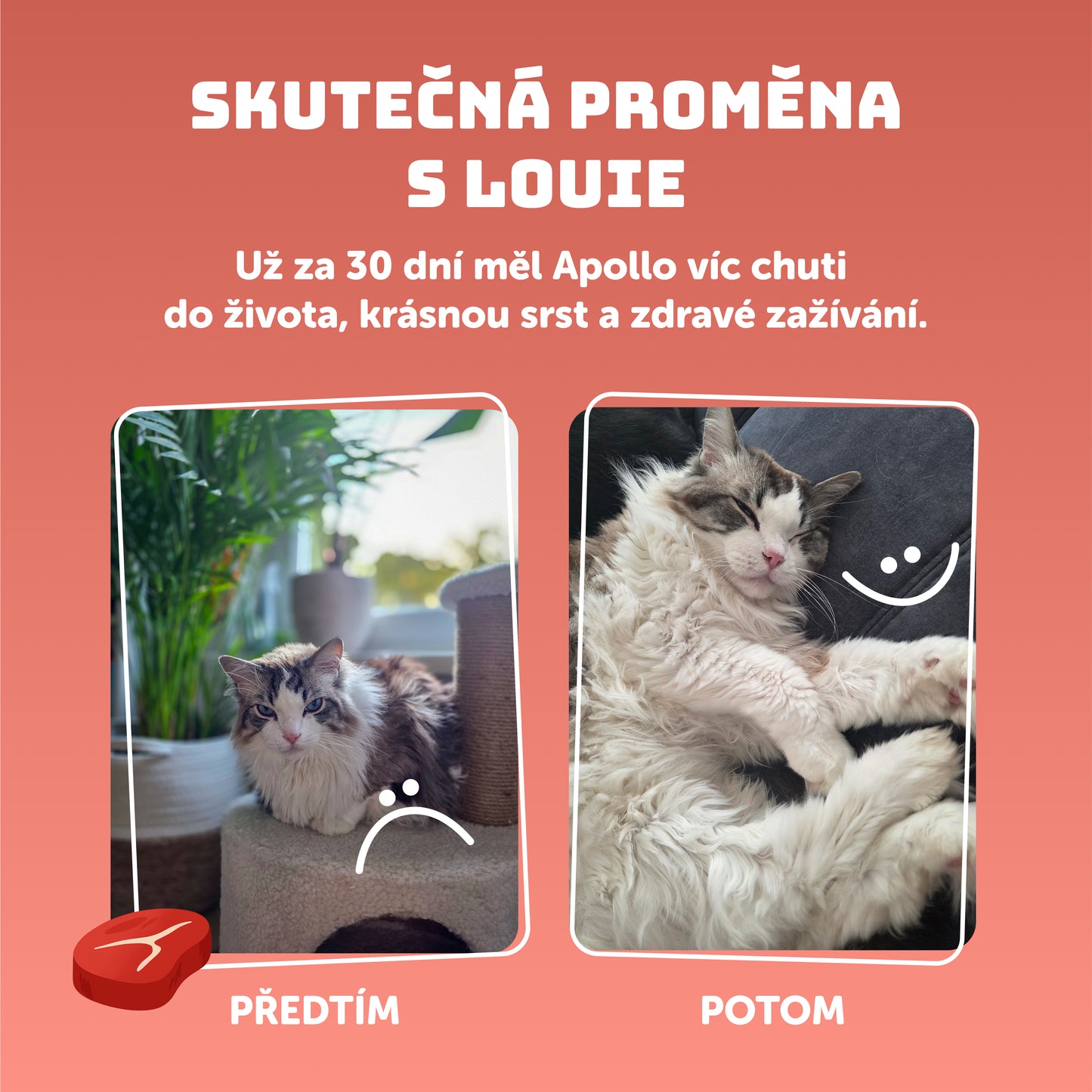 Kočičí ochutnávkový balíček 400g - 14 ks