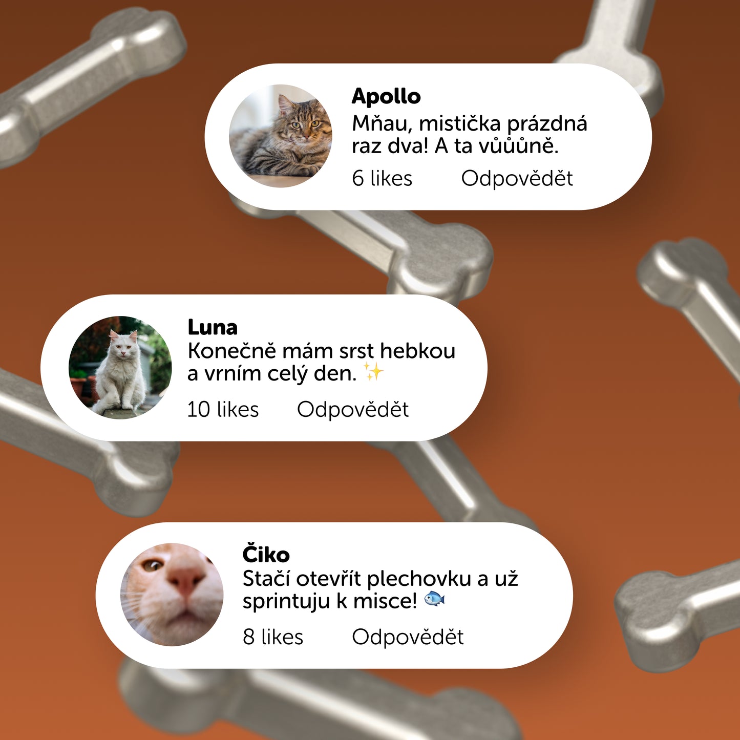 Kočičí ochutnávkový balíček 200g - 16 ks