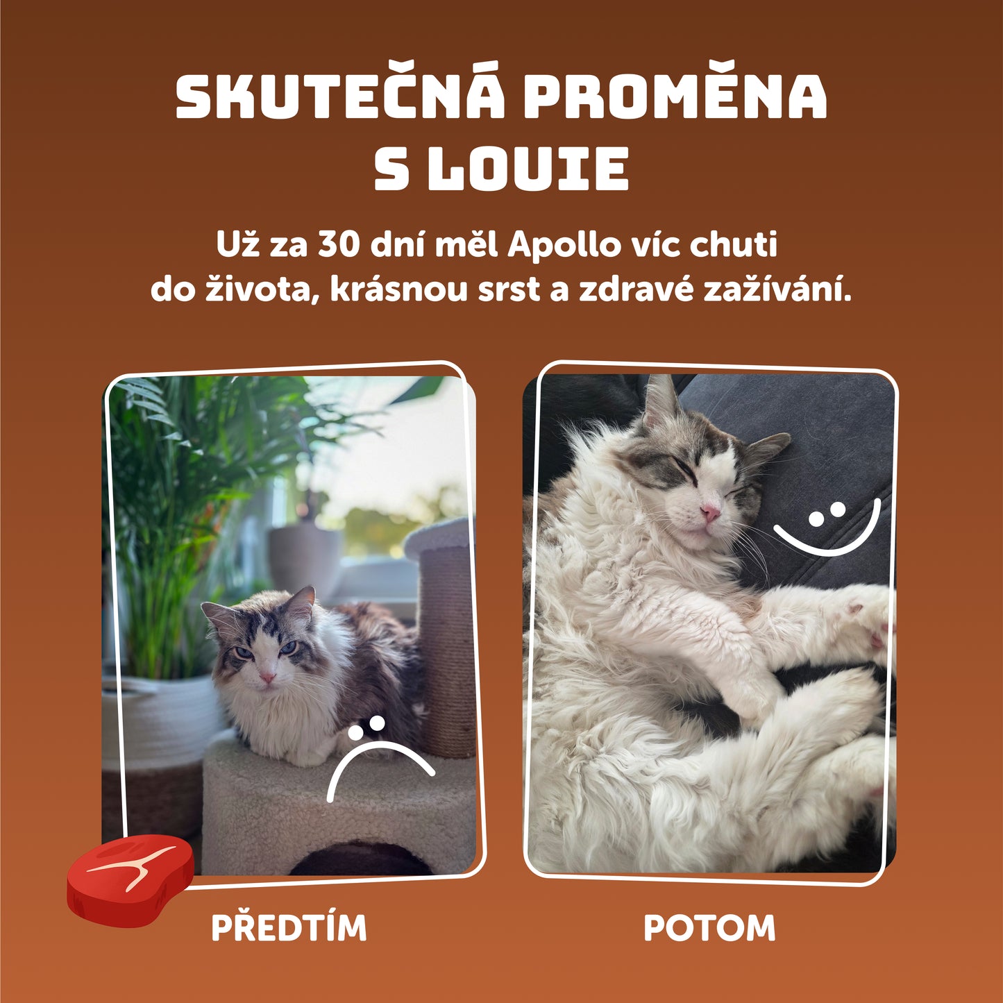 Kočičí ochutnávkový balíček 200g - 16 ks