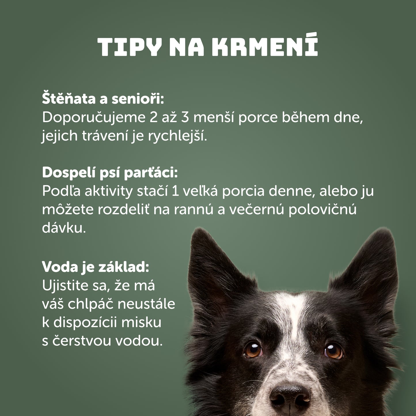 Výhodné balenie 16ks - Zvěřina s brusinkami a prebiotiky 400g