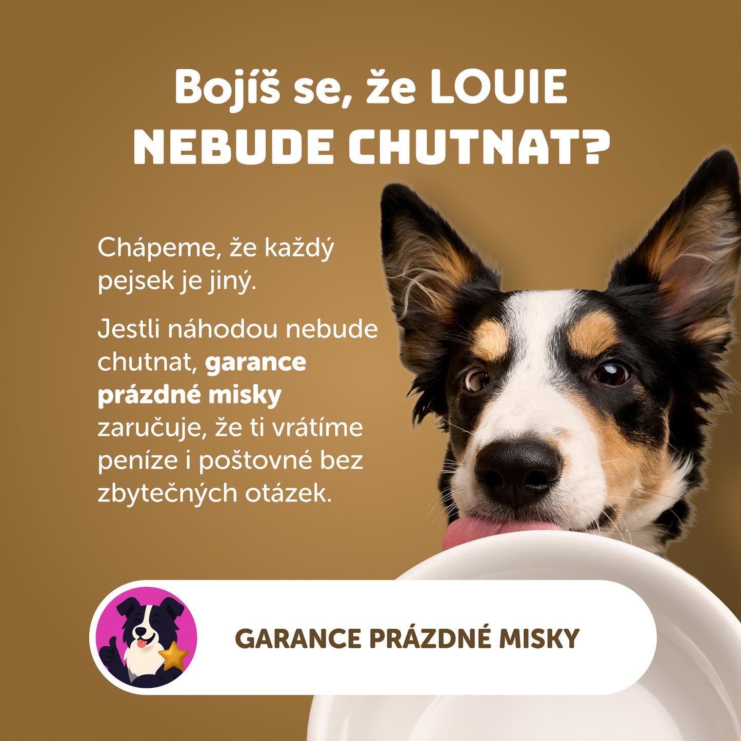 Hovězí s rýží  200g