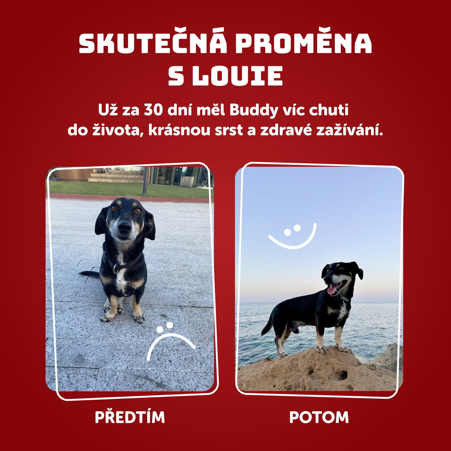 Jehněčí s krůtím, jablkem a prebiotiky 400g