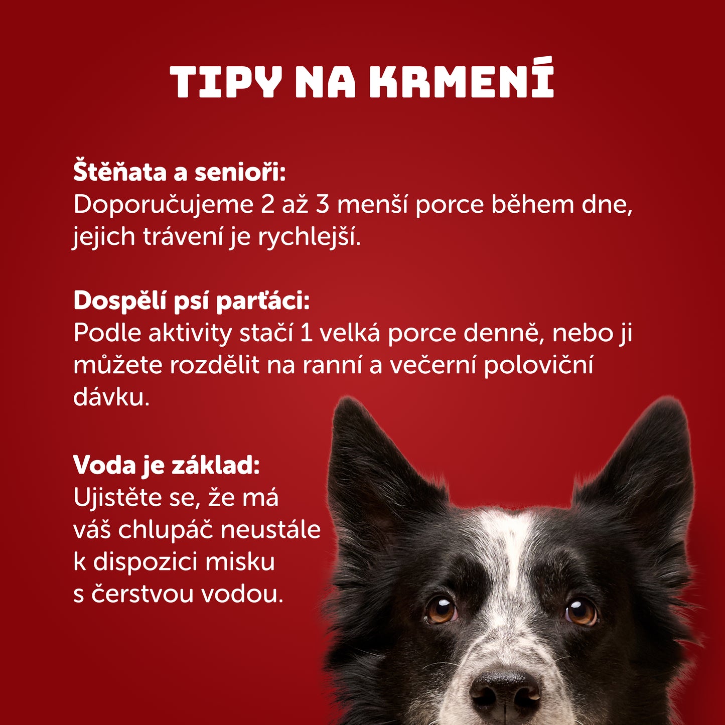 Jehněčí s krůtím, jablkem a prebiotiky 400g