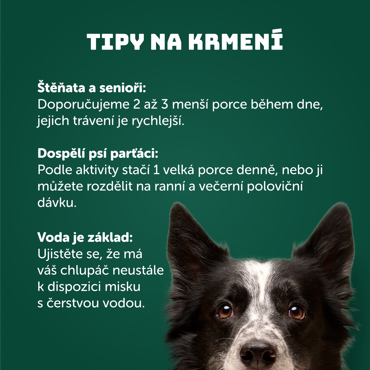 Krůtí s brusinkami, pastinákem + prebiotika 400g