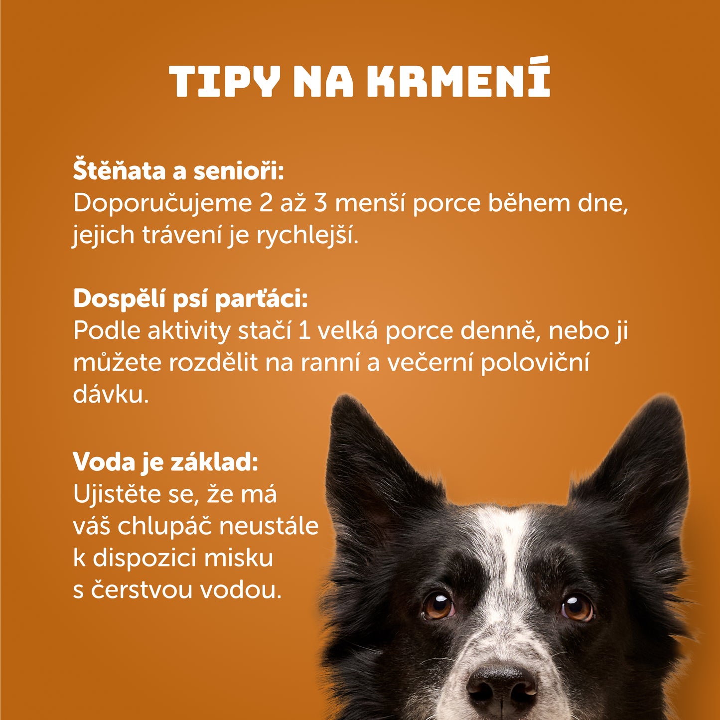 Výhodné balenie 8 ks - Kuracie s cuketou 200g