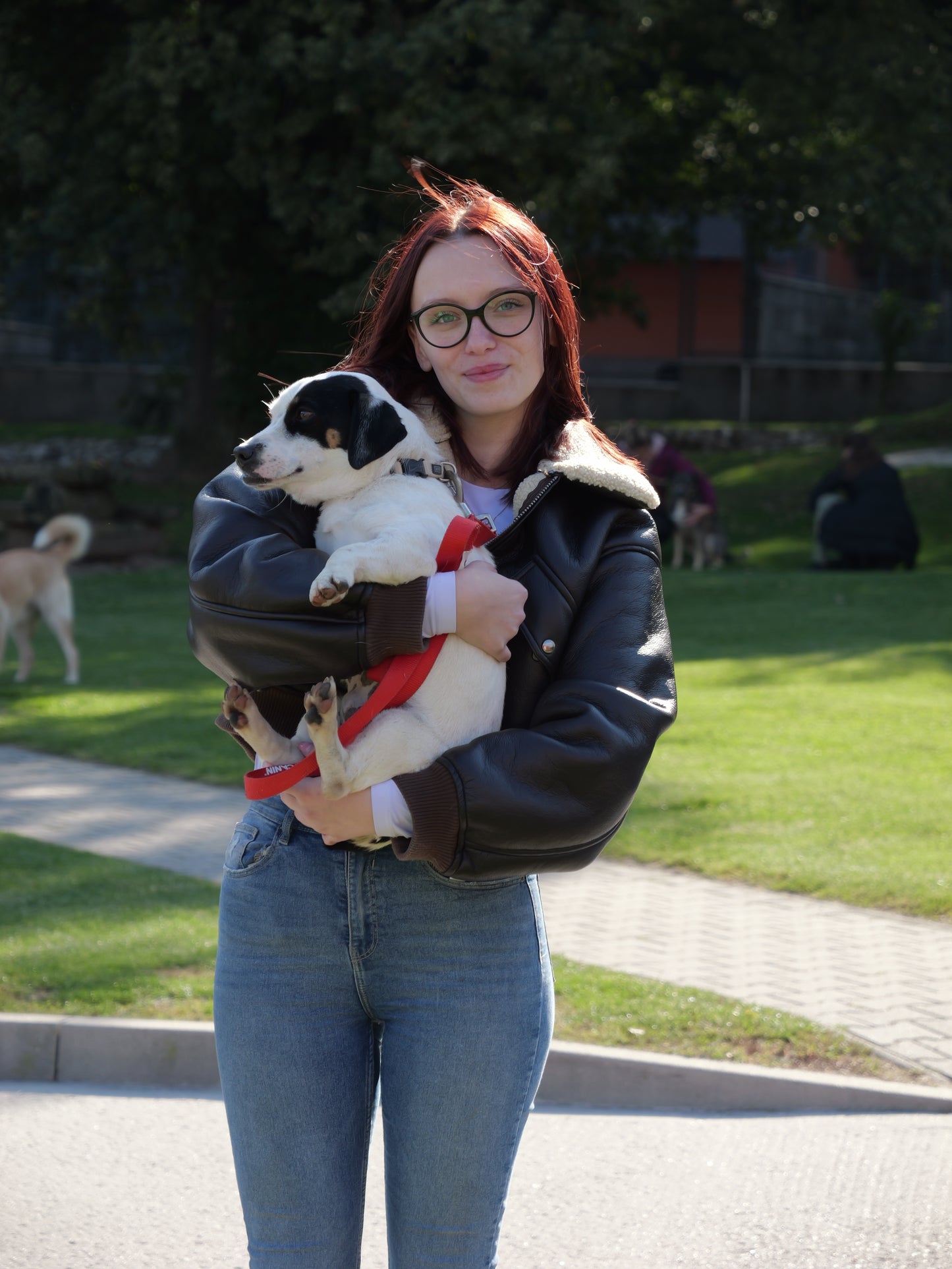 Psí balíček do útulku 8 ks, 400g - LOUIE pomáhá útulkům