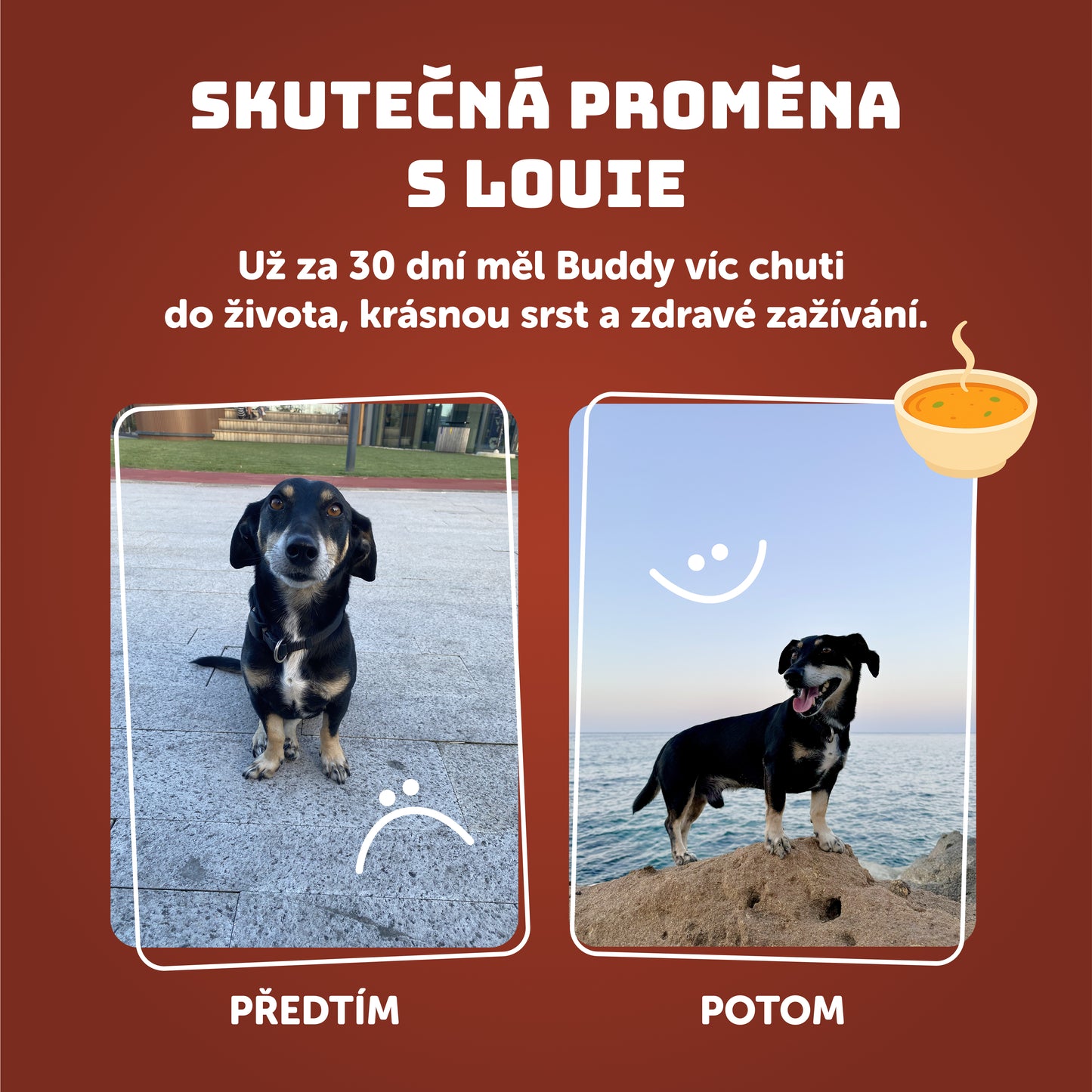 Hovězí vývar 400g