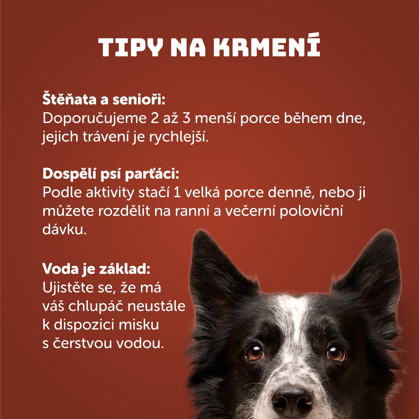 Hovězí vývar 400g