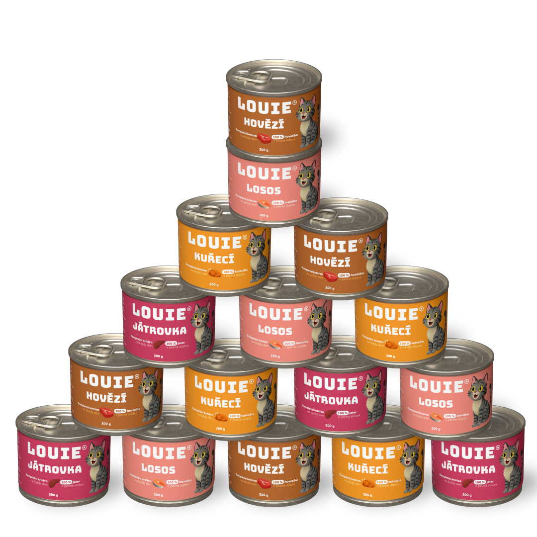 Kočičí ochutnávkový balíček 200g - 16 ks