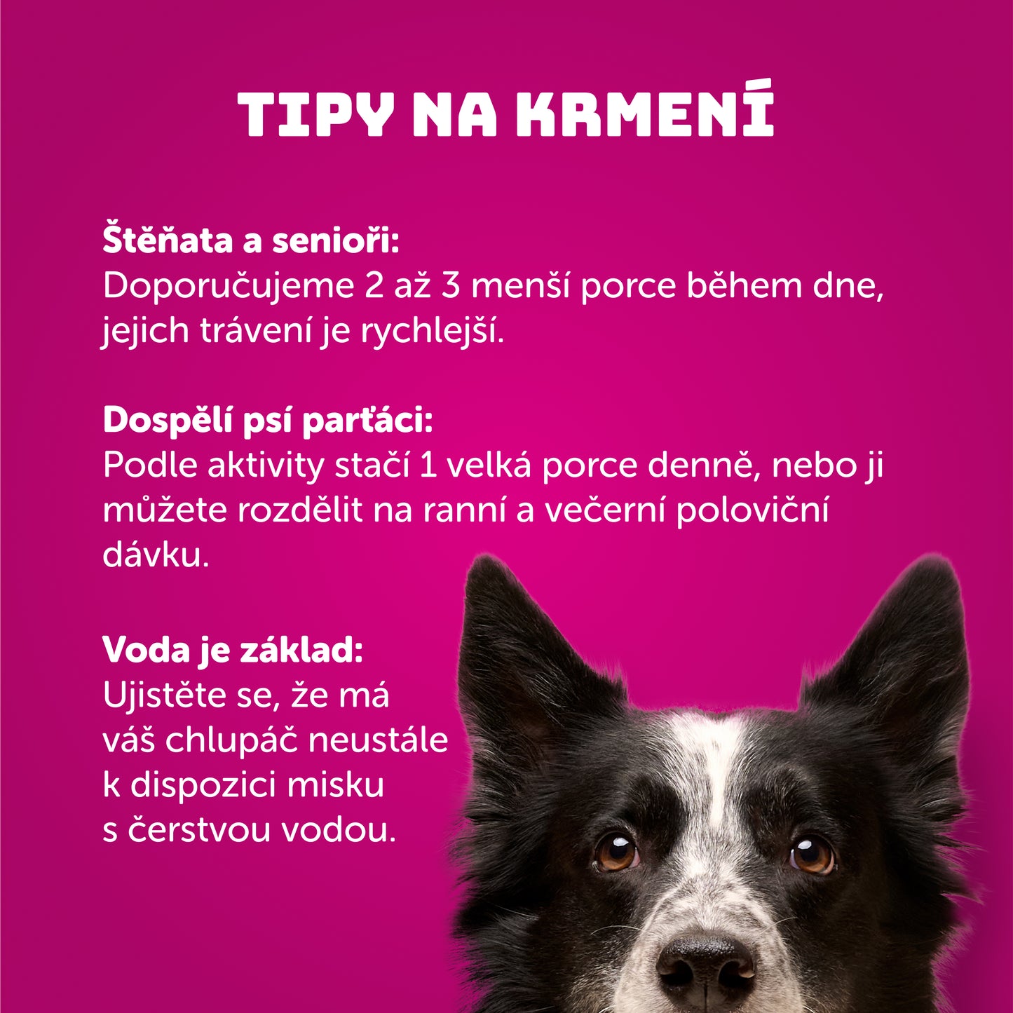 Beránek s nádivkou 400g