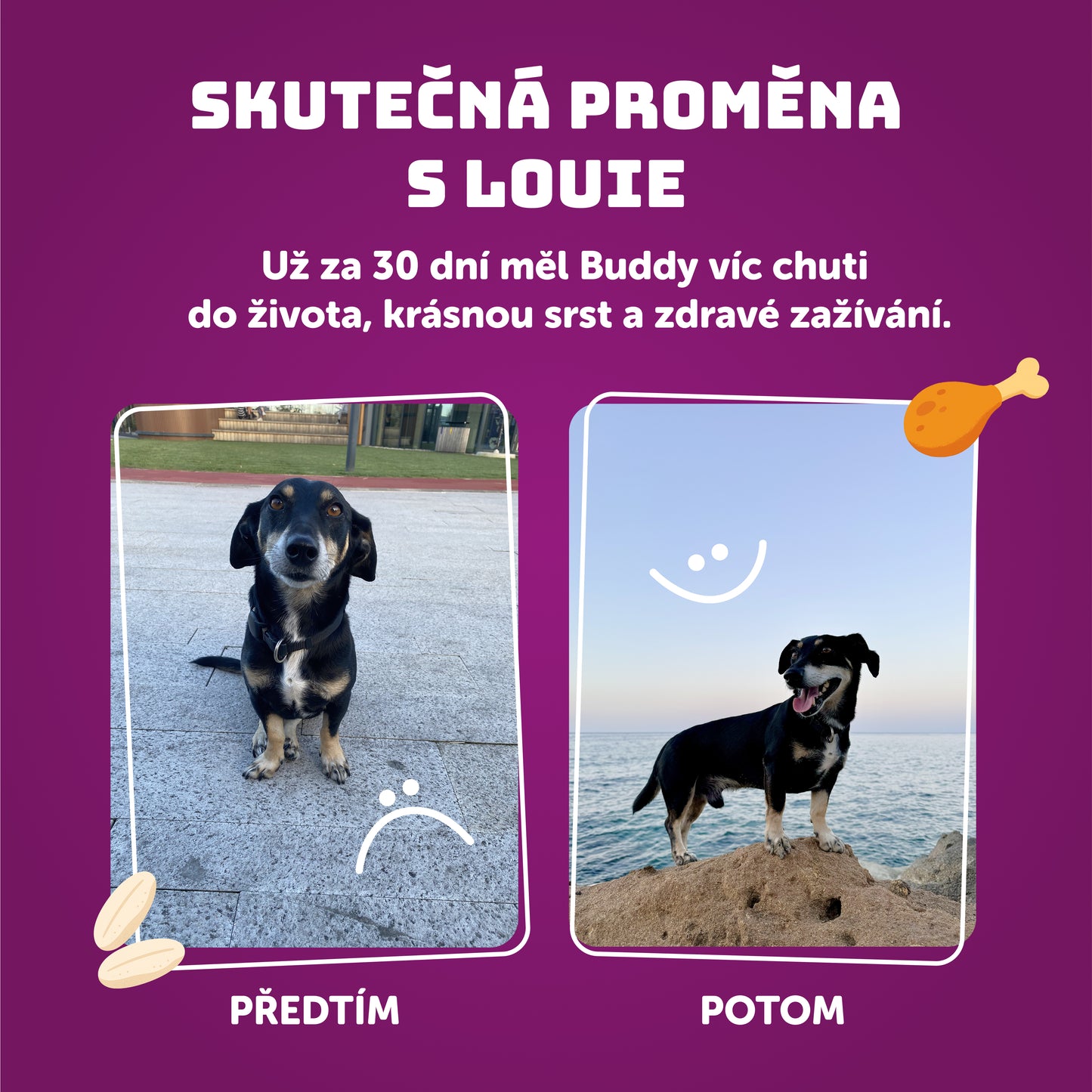 Kachní s rýží  200g