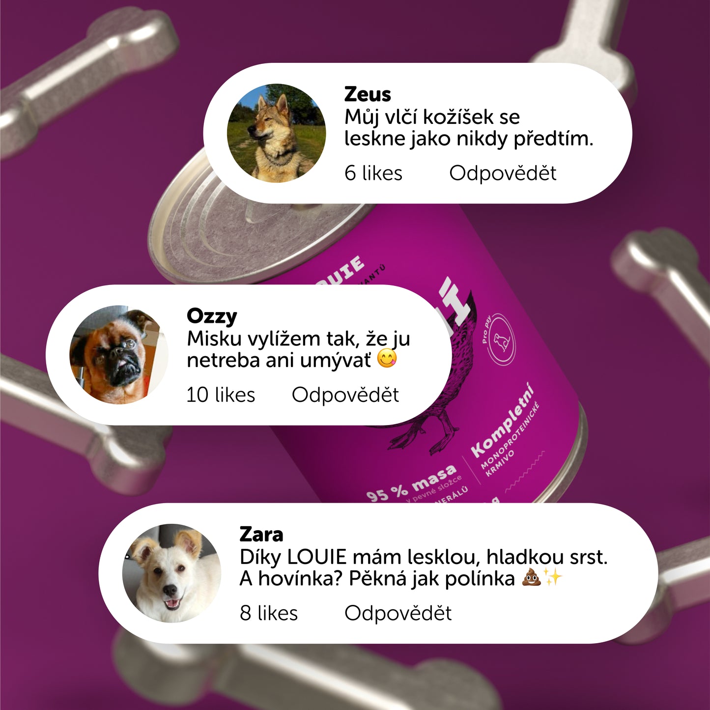 Kachní s rýží  200g