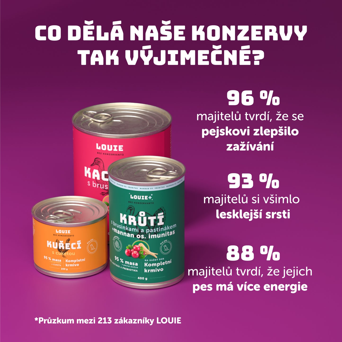 Kachní s rýží  200g