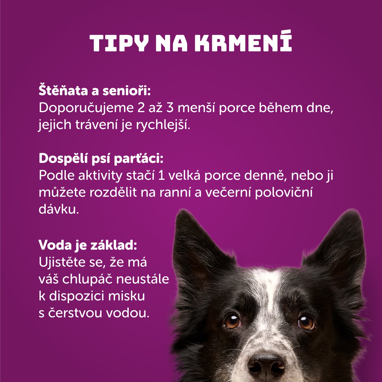 Kachní s rýží  200g