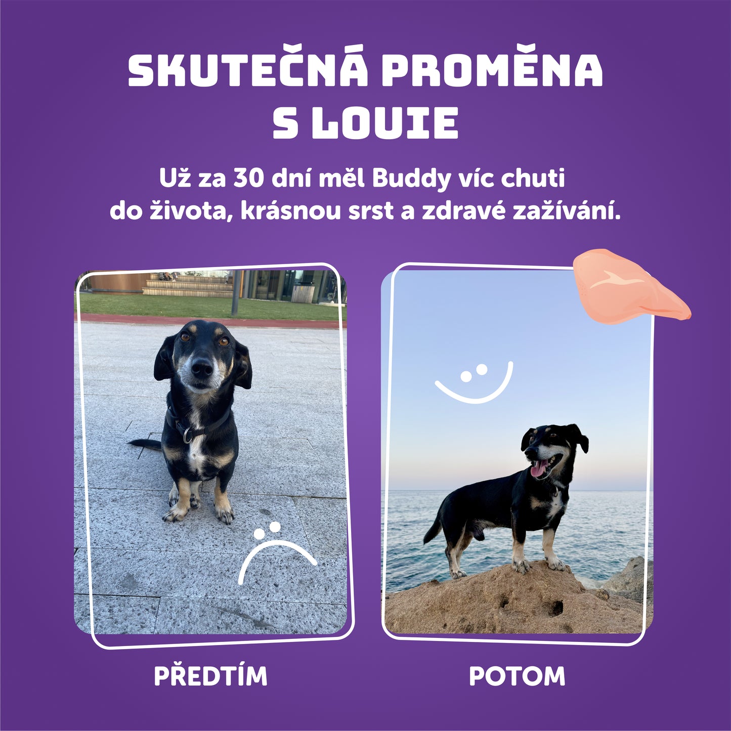 Králík s kuřecím, špenátem a prebiotiky 400g