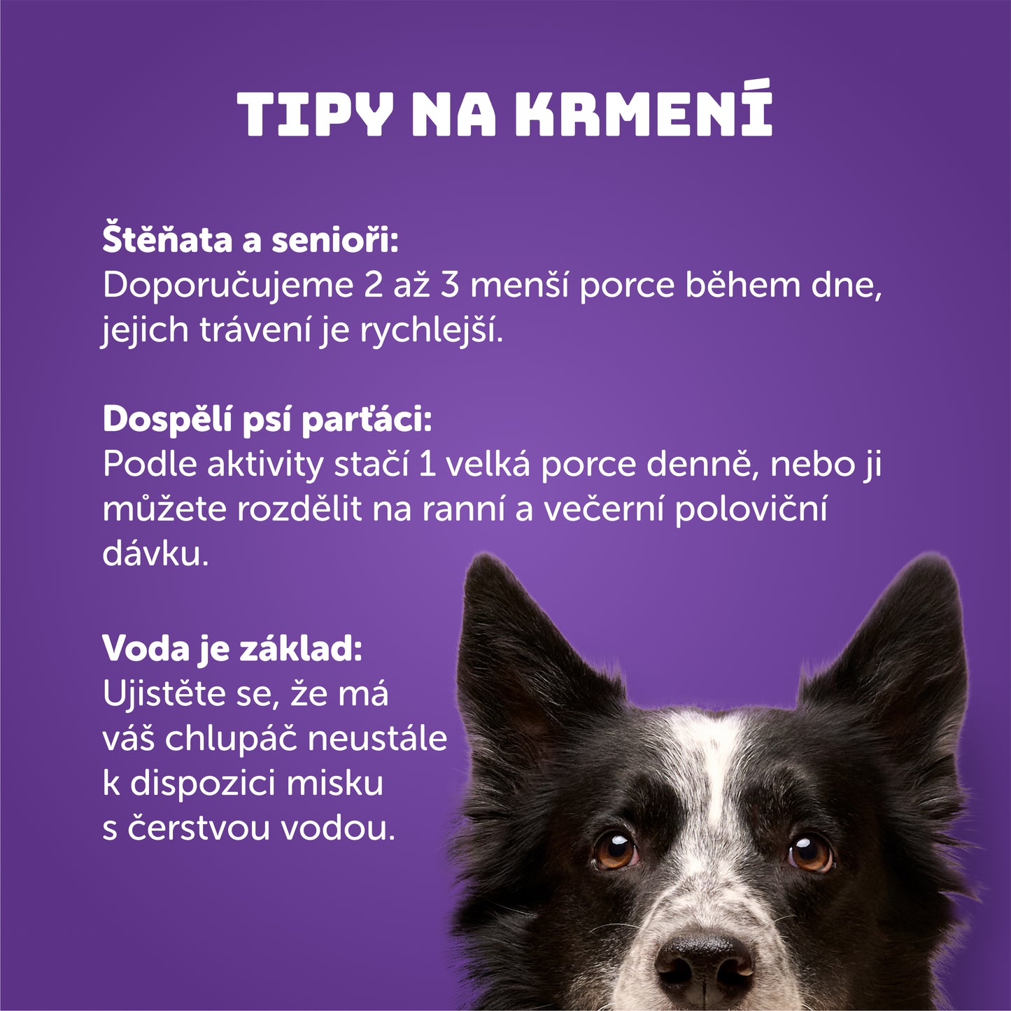 Výhodné balení 8ks - Králik s kuřecím a prebiotiky 200g