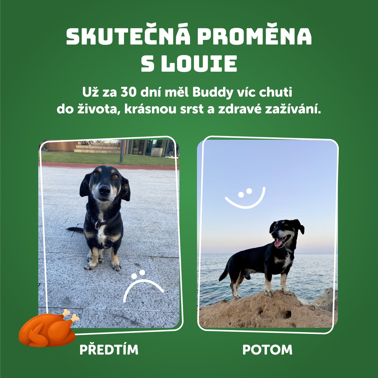 Výhodné balení 6ks - Krůtí s rýží 1200g