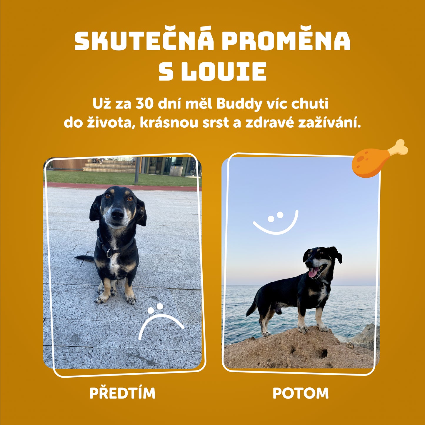 Výhodné balenie 6 ks - Kuracie s ryžou 800g