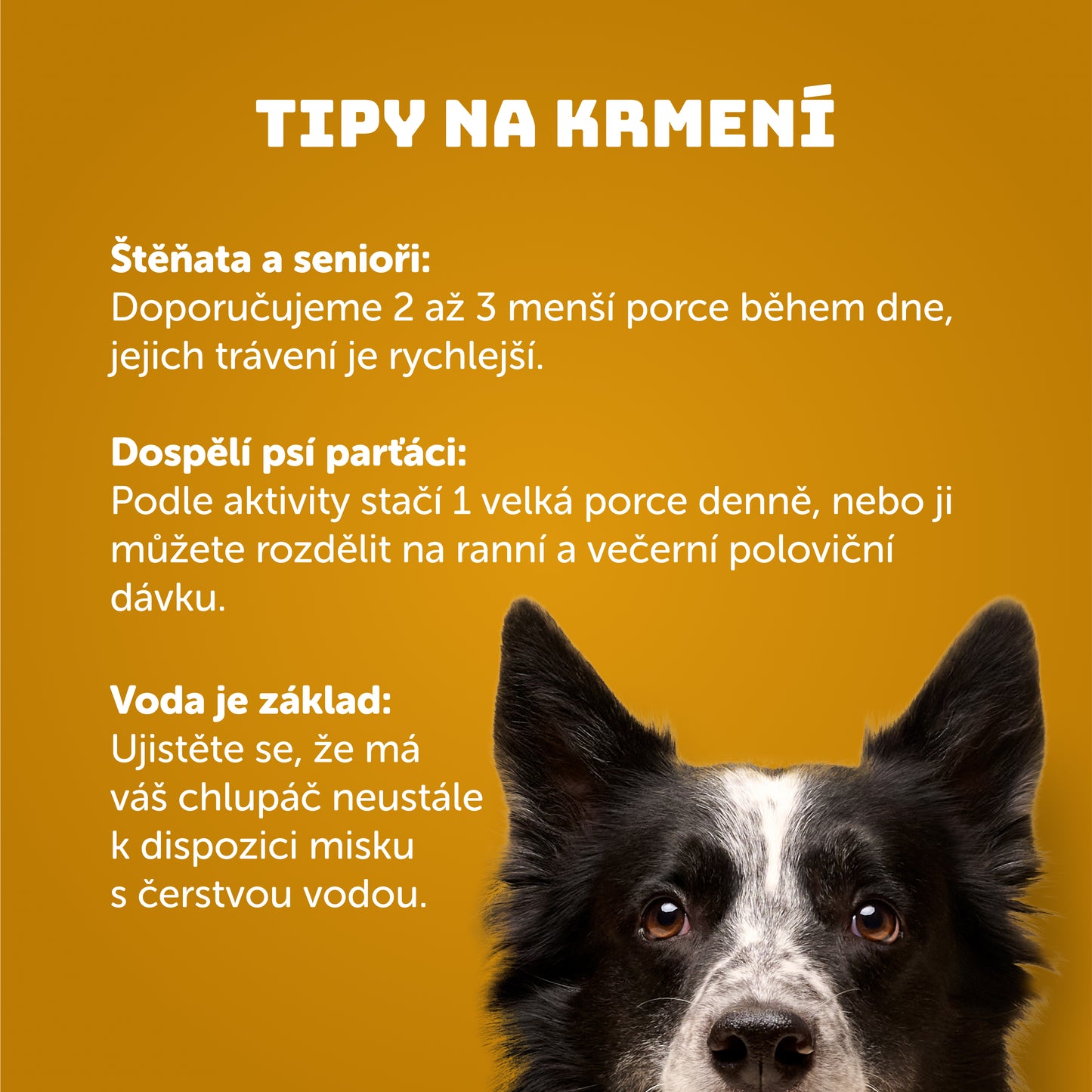 Výhodné balení 16ks - Kuřecí s rýží 400g