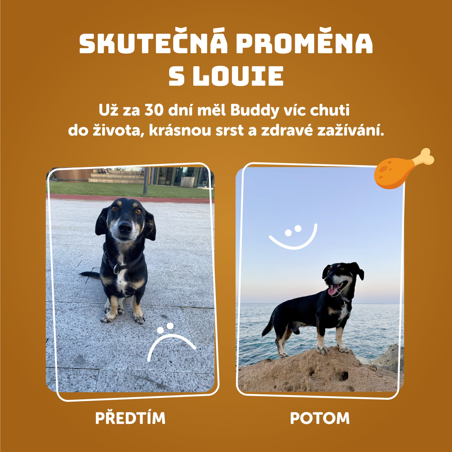 Kuřecí vývar 400g