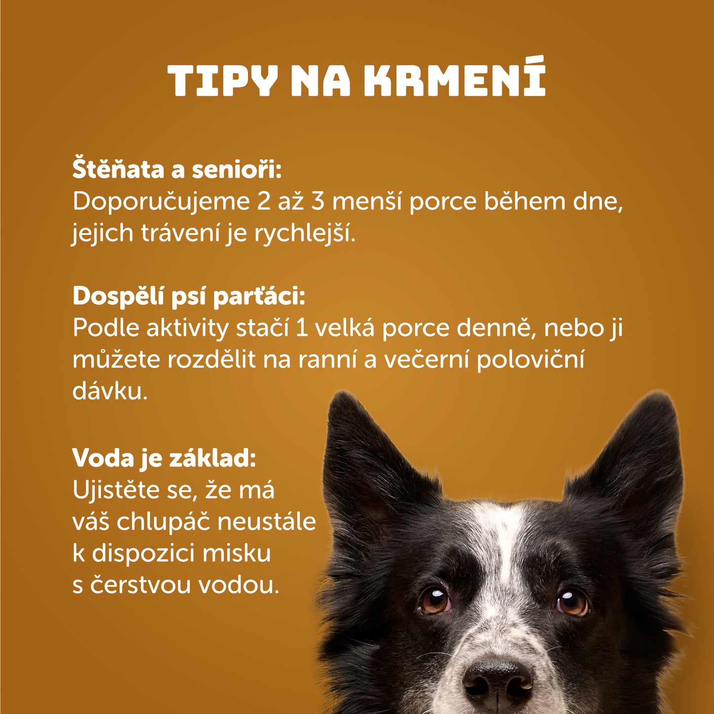 Kuřecí vývar 400g