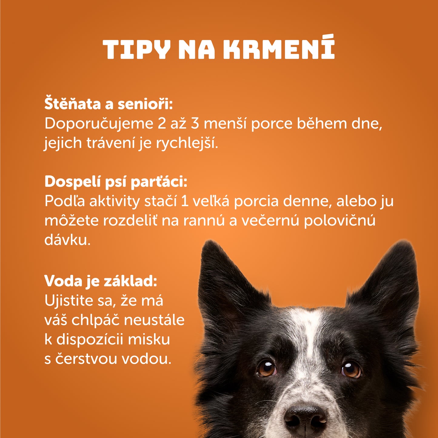 Pivní hovězí s mrkví a pivovarskými kvasnicemi 400g - limitovaná edice