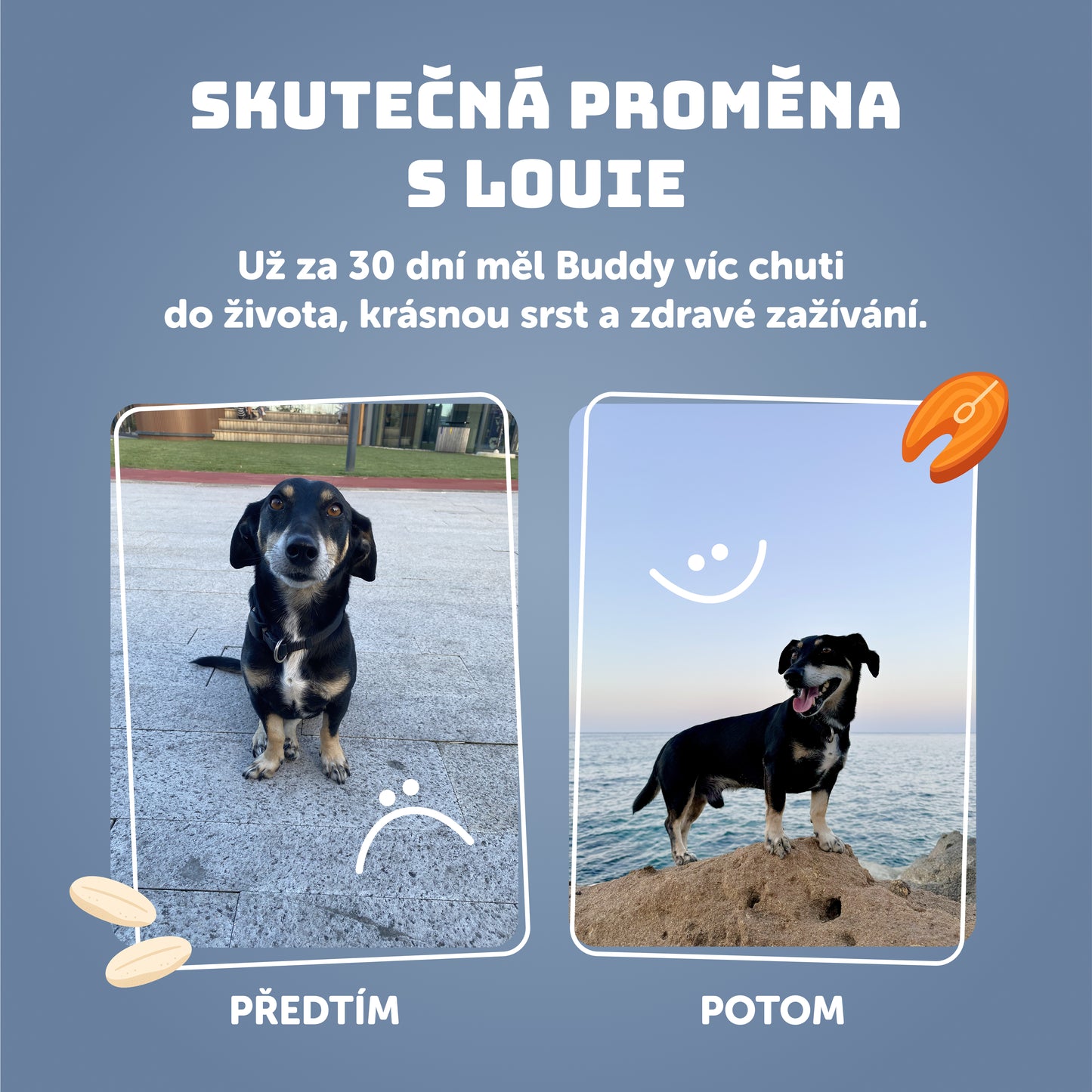 Výhodné balenie 8 ks - Ryba s ryžou 400g