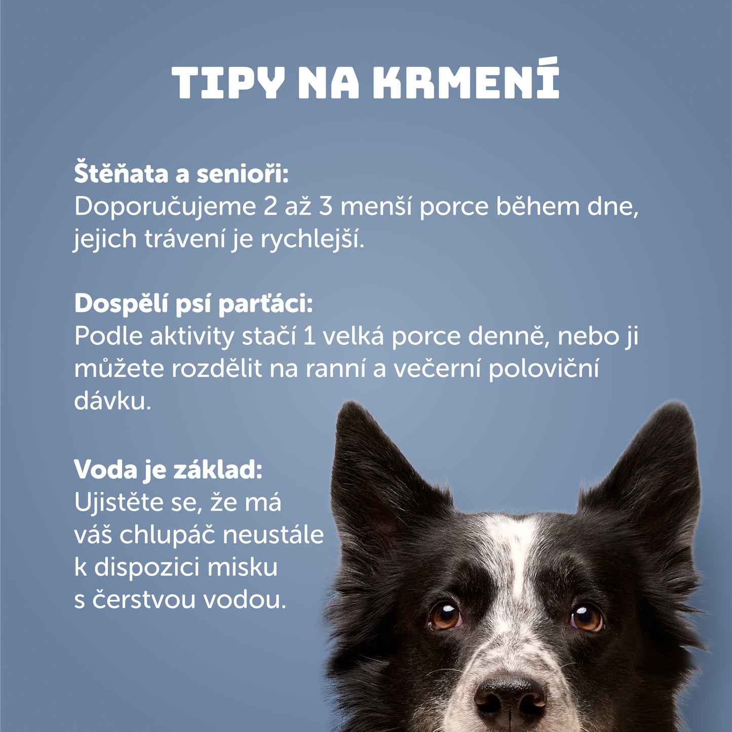 Výhodné balenie 8 ks - Ryba s ryžou 400g