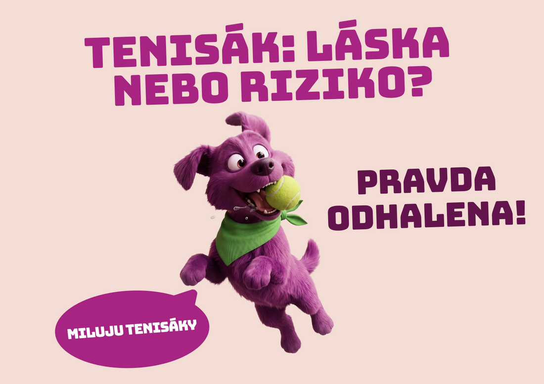 Tenisák a pes: láska na první aport, nebo hračka, se kterou zacházet s rozumem?
