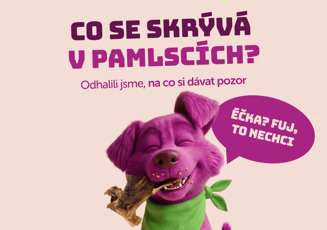 Pamlsek, který vypadá nevinně. Ale co je uvnitř?