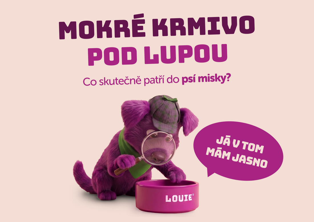 Mokré krmivo pod lupou. Co skutečně patří do psí misky?