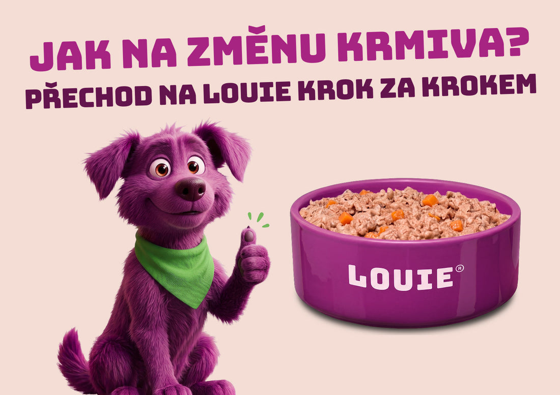 Jak bezpečně přejít na nové krmivo? Přechod na LOUIE krok za krokem