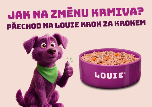 Jak bezpečně přejít na nové krmivo? Přechod na LOUIE krok za krokem