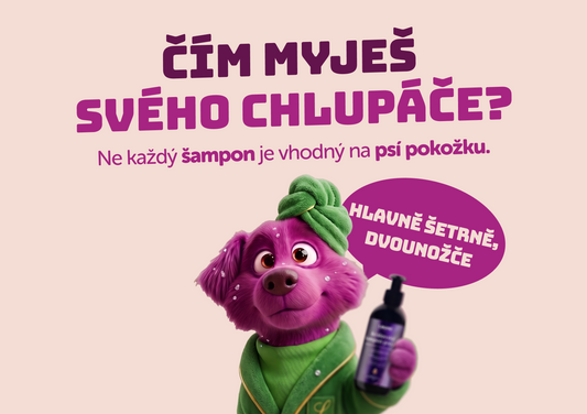 Šampon pro psa: proč záleží na tom, čím ho myješ?