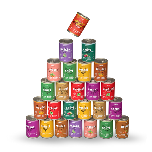 Adventní balíček 24 ks + Vánoční kapr zdarma - 400g