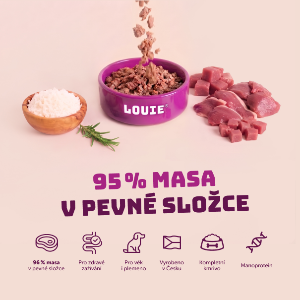 Kachní s rýží | 8 ks | 400g