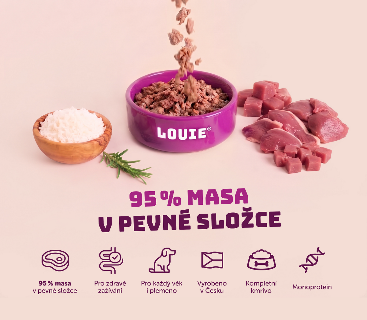 Kachní s rýží | 8 ks | 400g