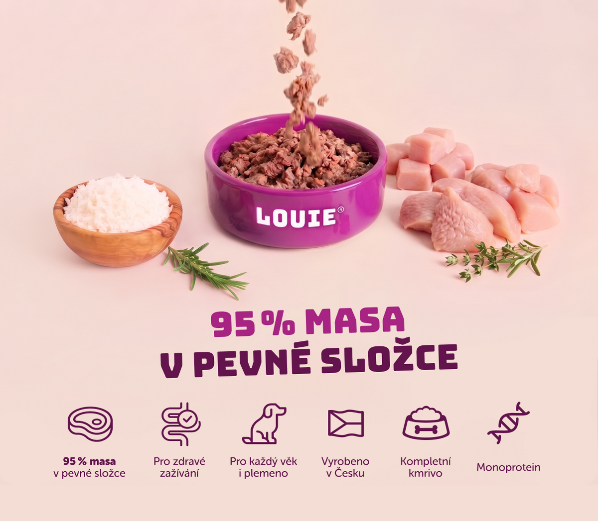 Kuřecí s rýží | 8ks | 400g